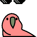 Party Parrot 9