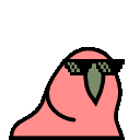 Party Parrot 4
