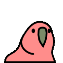 Floating Parrot