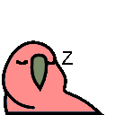Floating Parrot